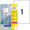 Folie antybakteryjne 210x297 Avery Zweckform 10 arkuszy l8001-10