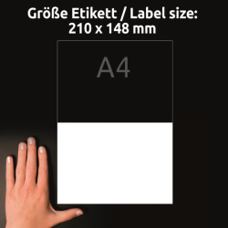 Naklejki na okna Avery 210x148 10 arkuszy