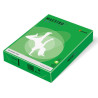 PAPIER A6 - RYZA PAPIERU A6,  80G - 500 ARK ,  FORMAT A6 - ZIELONY - sklep-lapis.pl