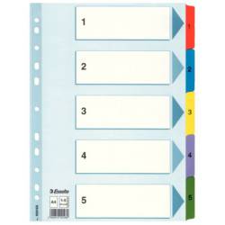 PRZEKŁADKA A4/1- 5 ESSELTE MYLAR 100160